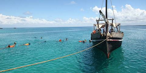 1-Day Wasini Island Dolphin & Snorkeling Tour
