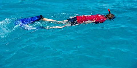 1-Day Wasini Private Boat Tour with Snorkeling and Lunch