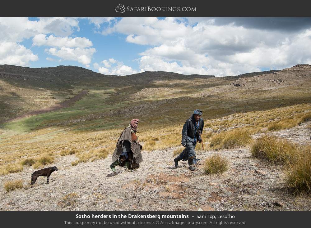 Sotho herders in the Drakensberg mountains, Sani Top in Sani Top, Lesotho
