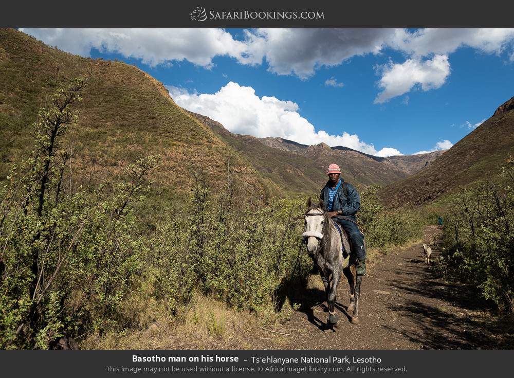 Basotho man on his horse, Ts'ehlanyane NP in Ts'ehlanyane National Park, Lesotho