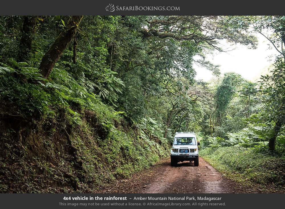 4x4 vehicle in the rainforest in Amber Mountain National Park, Madagascar