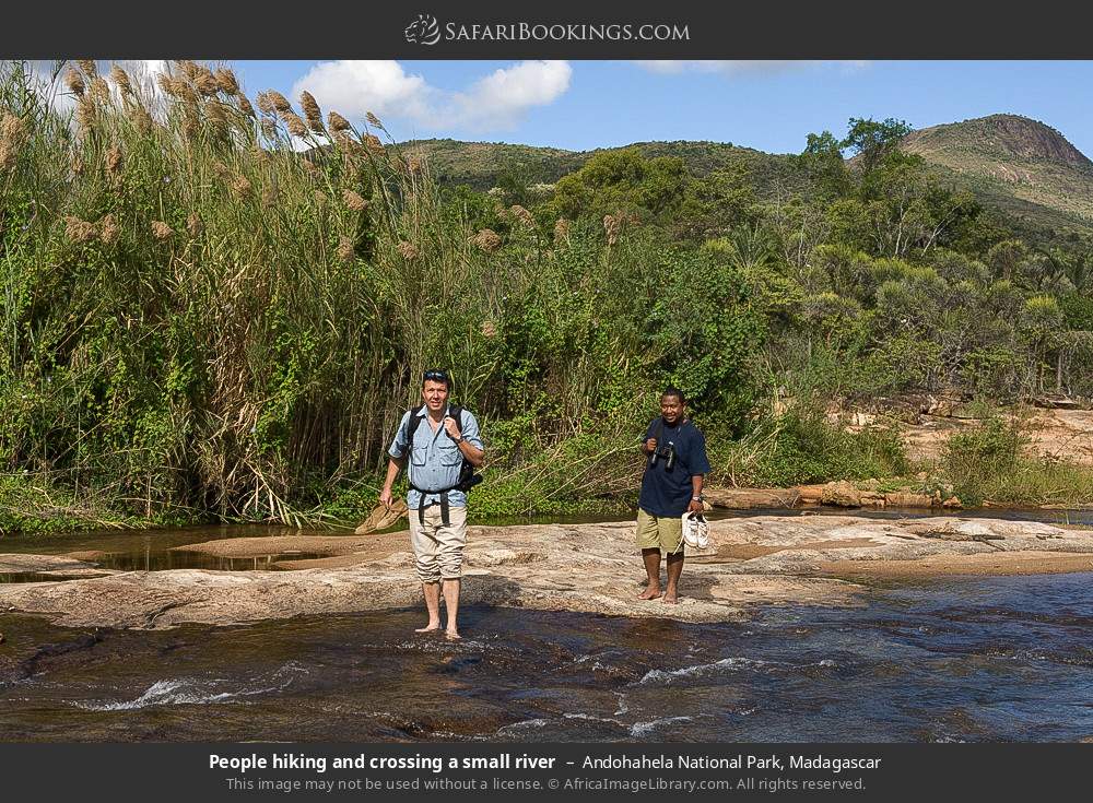 People hiking and crossing a small river in Andohahela NP in Andohahela National Park, Madagascar