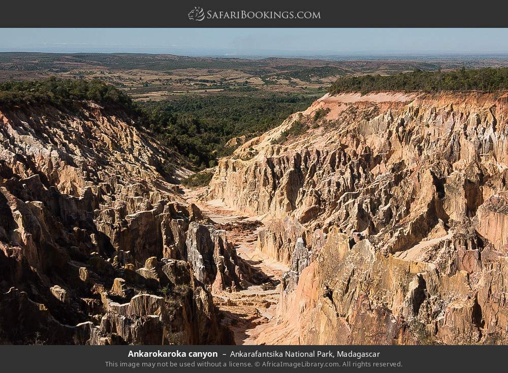 Ankarokaroka canyon in Ankarafantsika National Park, Madagascar
