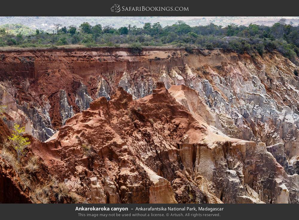 Ankarokaroka canyon in Ankarafantsika National Park, Madagascar