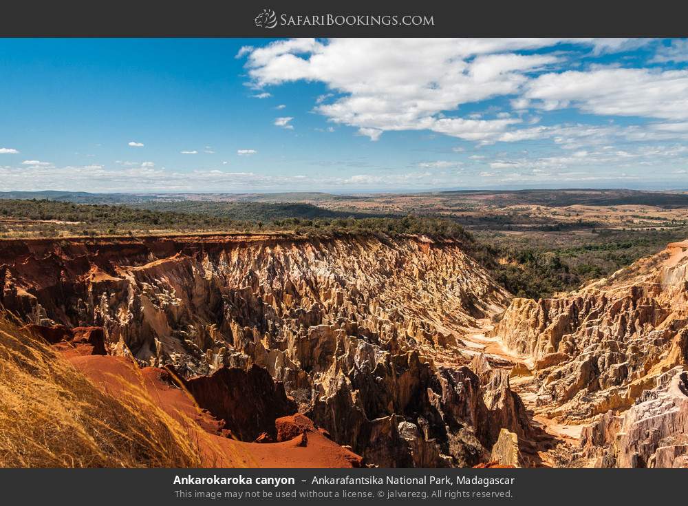 Ankarokaroka canyon, Ankarafantsika NP in Ankarafantsika National Park, Madagascar
