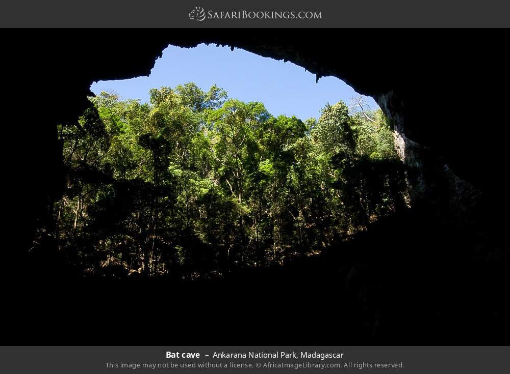 Bat cave in Ankarana National Park, Madagascar