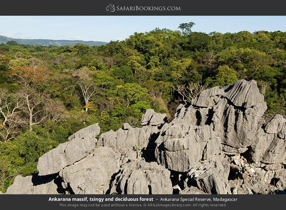 Ankarana massif, tsingy and deciduous forest in Ankarana Special Reserve, Madagascar