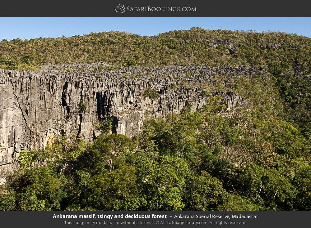 Ankarana massif, tsingy and deciduous forest in Ankarana Special Reserve, Madagascar
