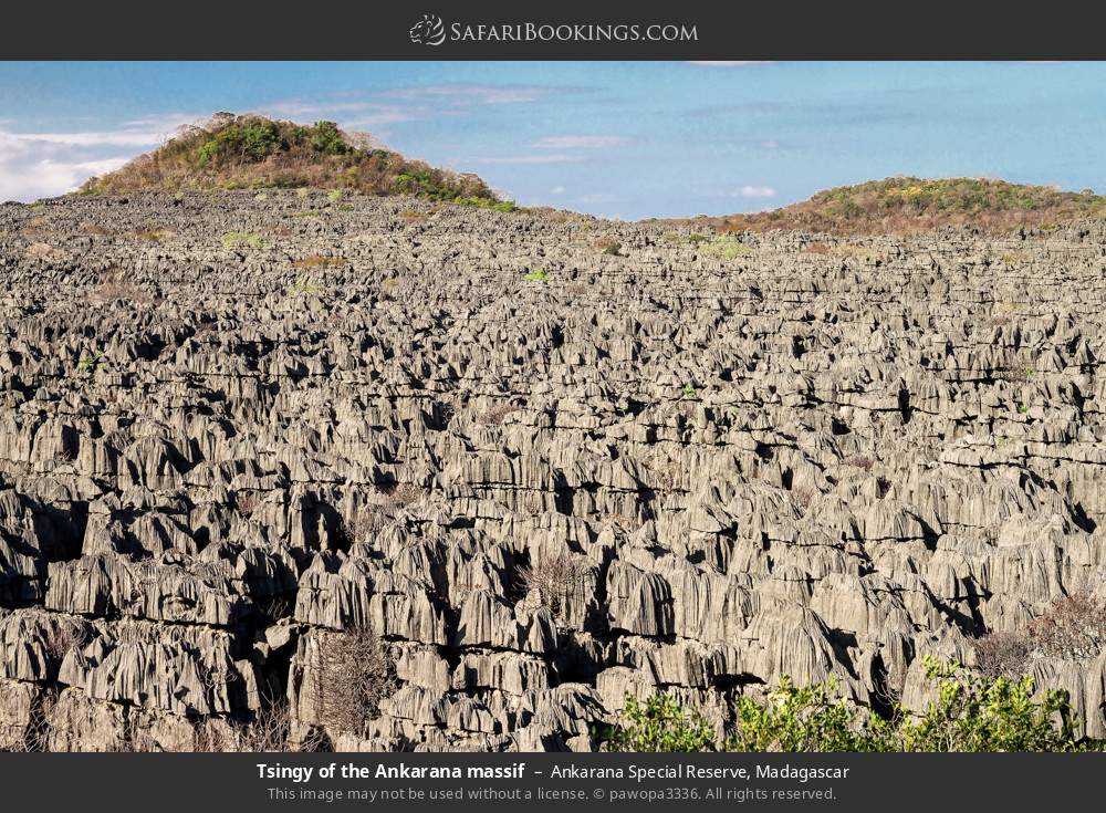 Tsingy of the Ankarana massif, Ankarana SR in Ankarana Special Reserve, Madagascar