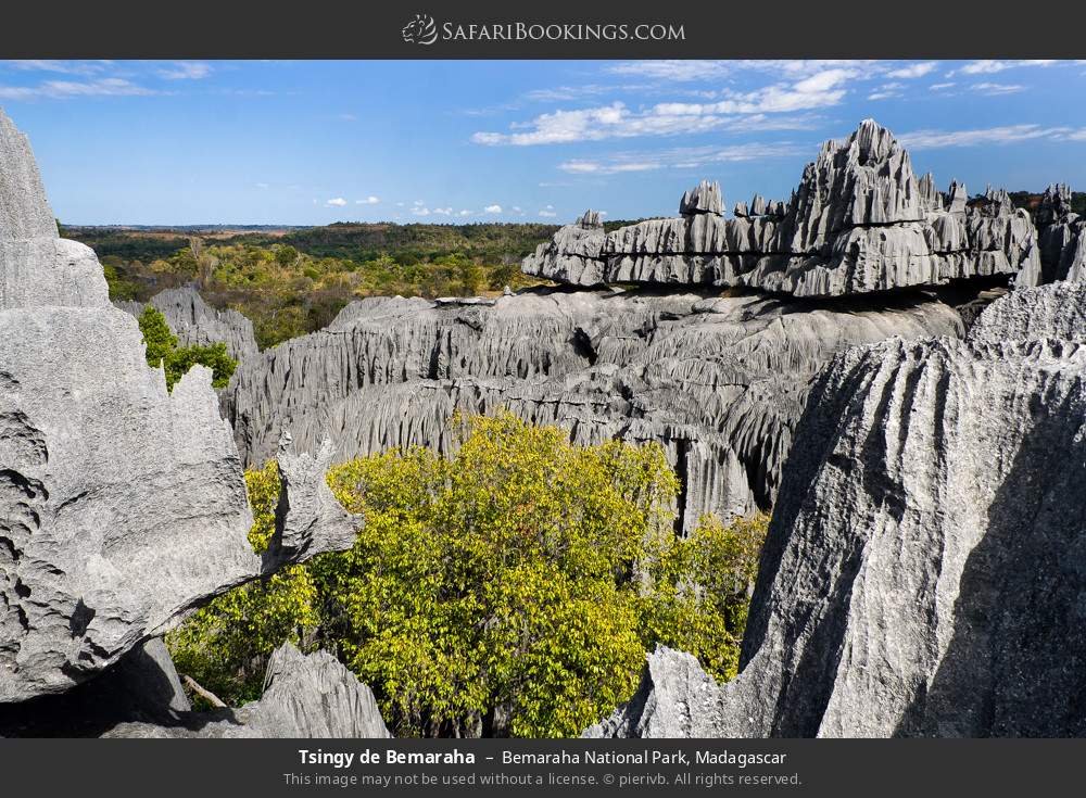 Tsingy de Bemaraha, limestone formation in Bemaraha National Park, Madagascar