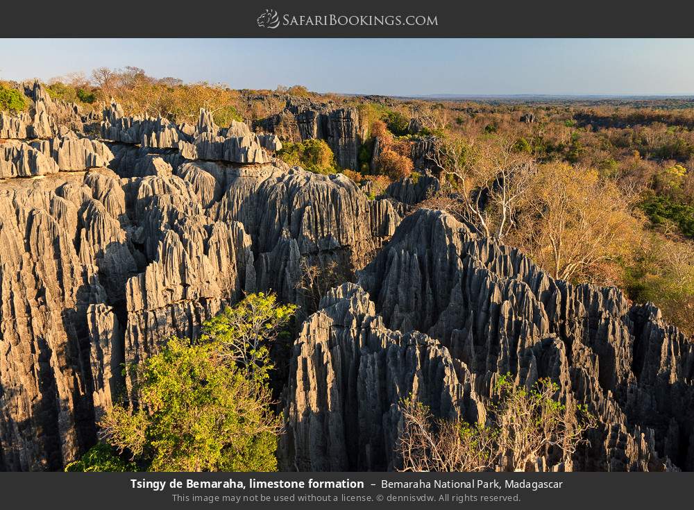 Tsingy de Bemaraha, limestone formation in Bemaraha National Park, Madagascar