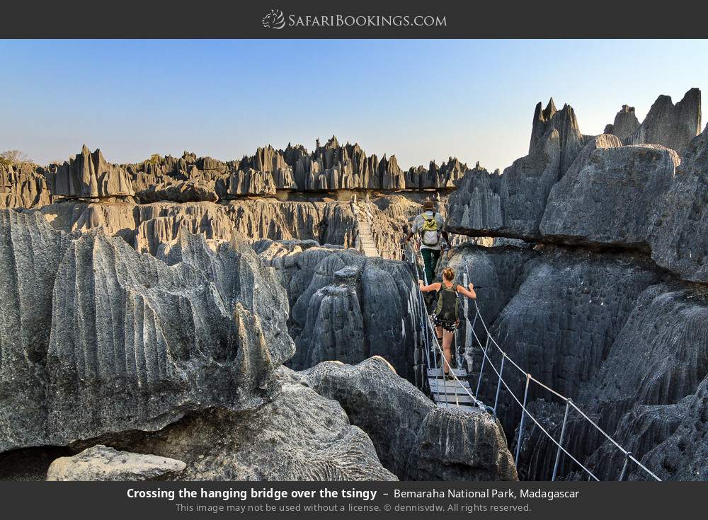 Crossing a hanging bridge over the tsingy in Bemaraha National Park, Madagascar