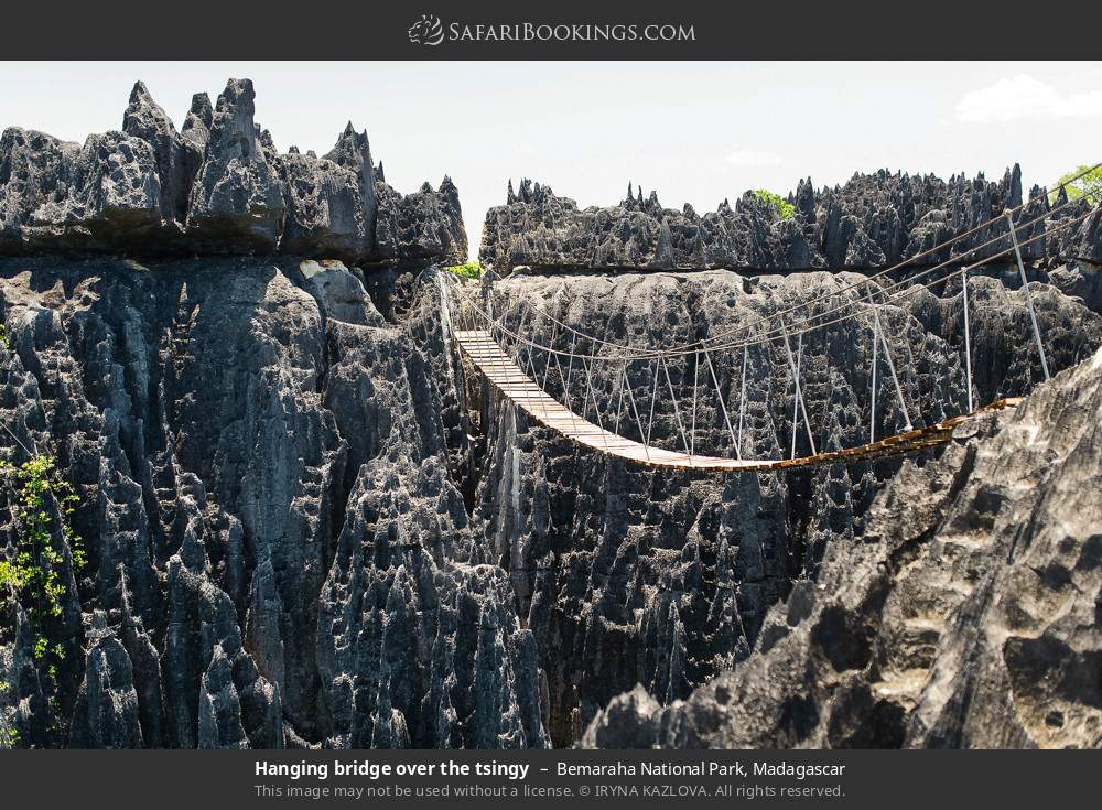 Hanging bridge over the tsingy in Bemaraha NP in Bemaraha National Park, Madagascar