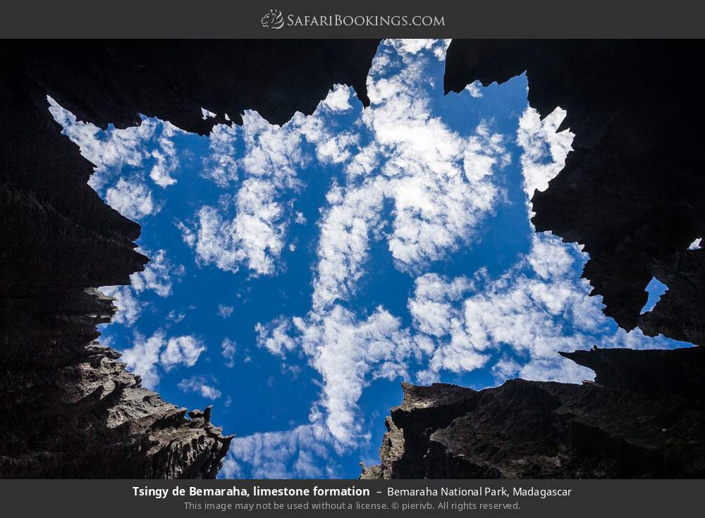 Tsingy de Bemaraha, limestone formation in Bemaraha National Park, Madagascar