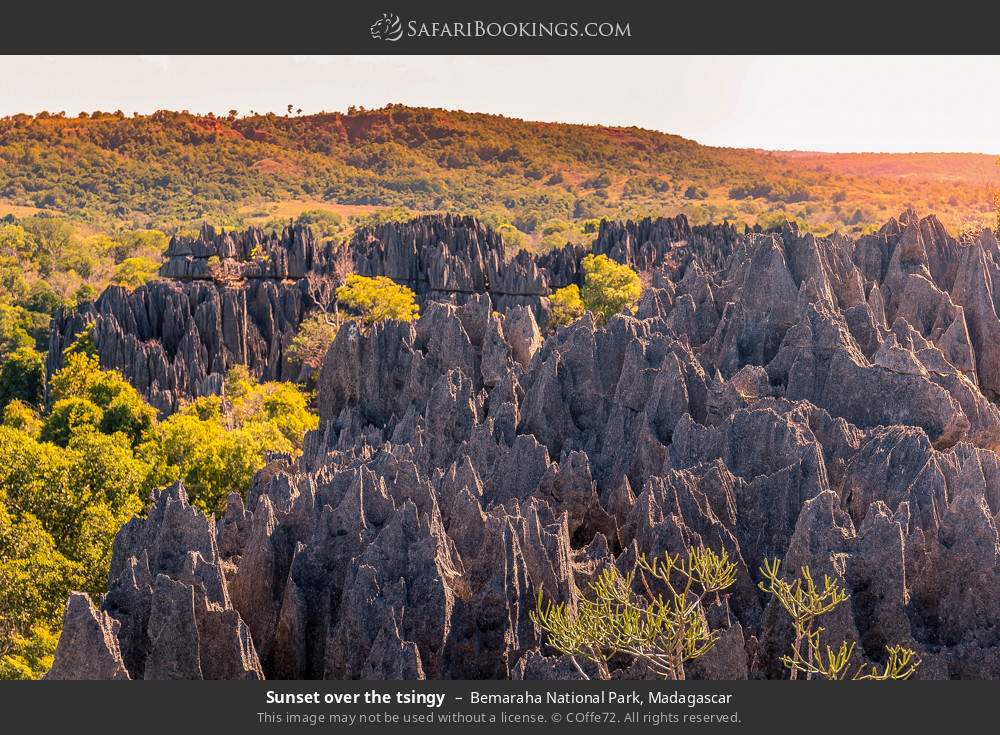 Sunset over the tsingy in Bemaraha NP in Bemaraha National Park, Madagascar