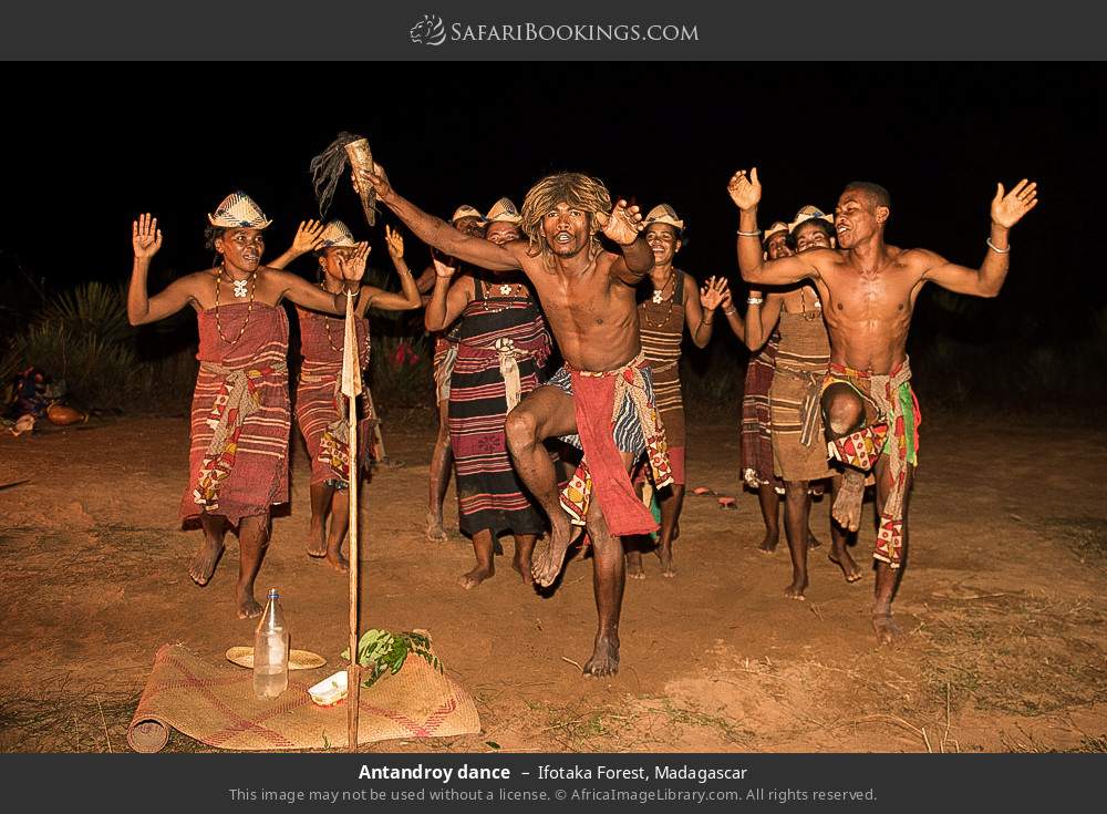 Antandroy people dancing in Ifotaka Forest, Madagascar