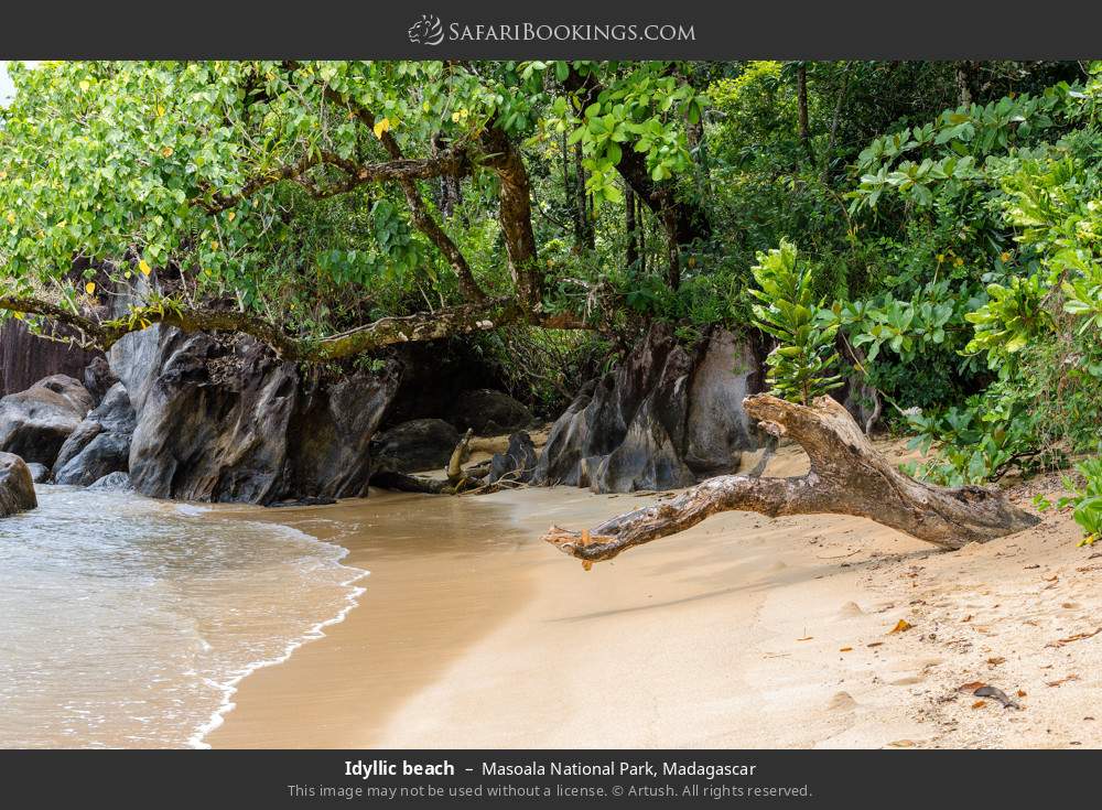 Idyllic beach in Masoala National Park, Madagascar