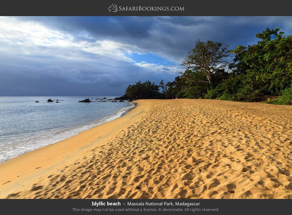 Idyllic beach, Masoala NP in Masoala National Park, Madagascar