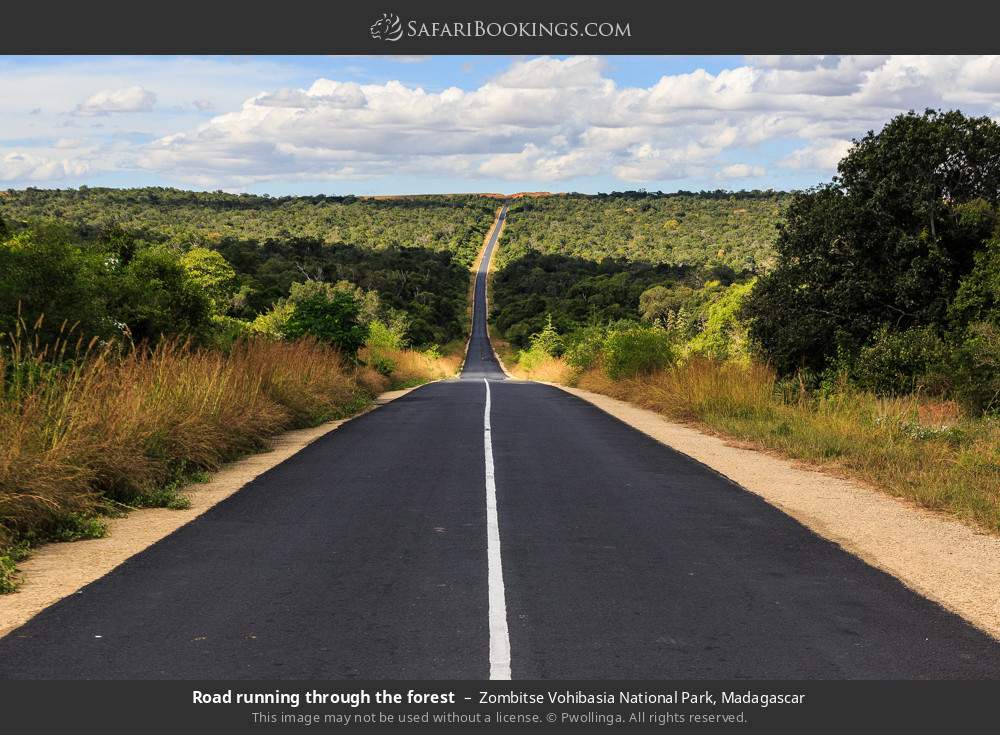 Road running through the forest in Zombitse Vohibasia National Park, Madagascar