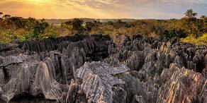 Open Photos