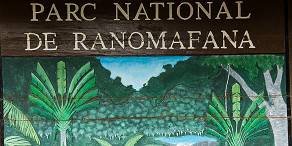 Open Photos