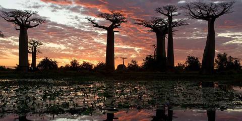 10-Day Ulitimate Madagascar Baobab Tsiribihina Adventure
