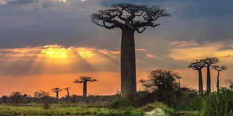 11-Day Madagascar Wildlife for First Timers (No Stress)
