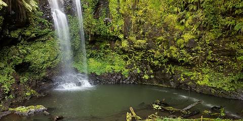 12-Day Madagascar Rainforests, Tsingy & Nosy Be Escape