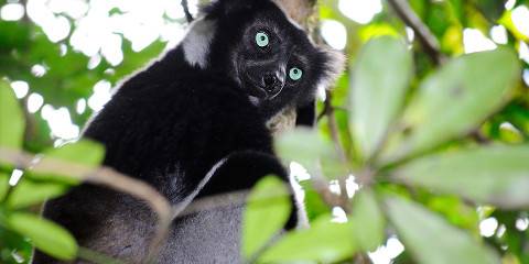 15-Day Madagascar Natural Discovery