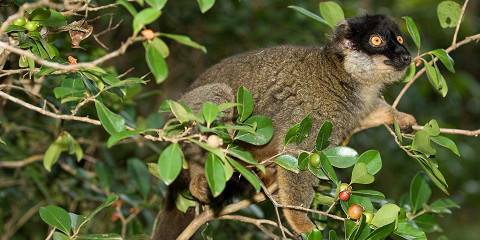 4-Day Culinary Tour in Madagascar