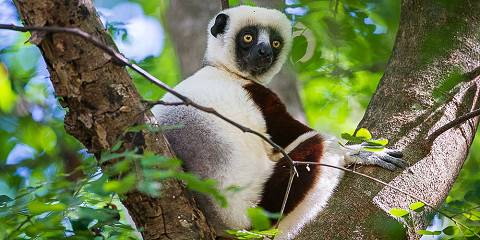 6-Day Madagascar Adventure & Beach Getaway