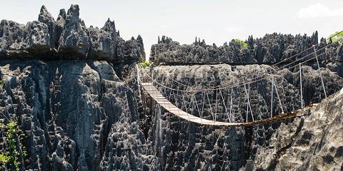 22-Day Big South Madagascar Land of Adventures