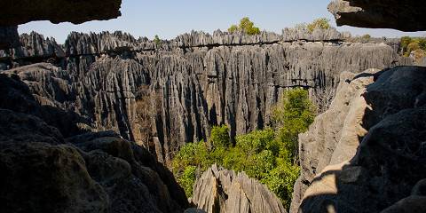 9-Day Bring down of Baobabs and Tsingy Tour