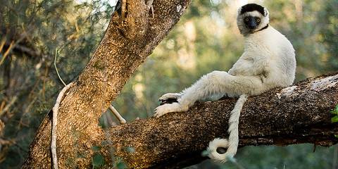 Belo Discovery, Western Wonders of Madagascar