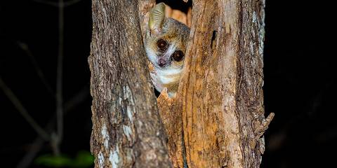 7-Day North Tour of Madagascar Awaits You