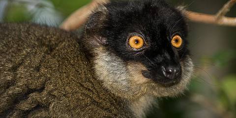6-Day Luxury Tour in Madagascar