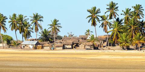 6-Day Madagascar's Western Coast Tour