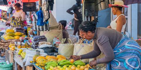 12-Day Forest - Baobab and River Adventure in Madagascar