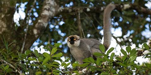 9-Day Lemur Trail Madagascar Adventure