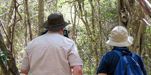 6-Day High-End Lemurs & Baobab Tour