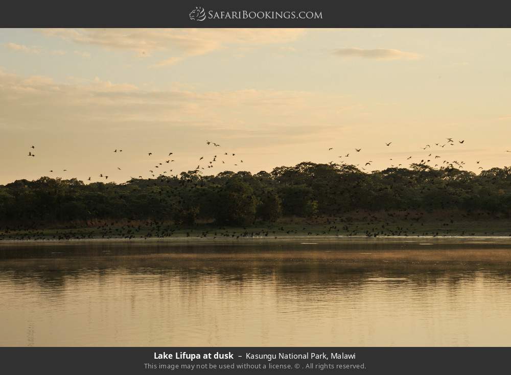 Lake Lifupa at dusk in Kasungu National Park, Malawi