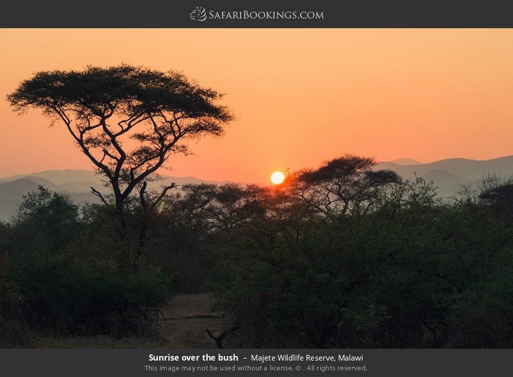Sunrise over the bush in Majete Wildlife Reserve, Malawi