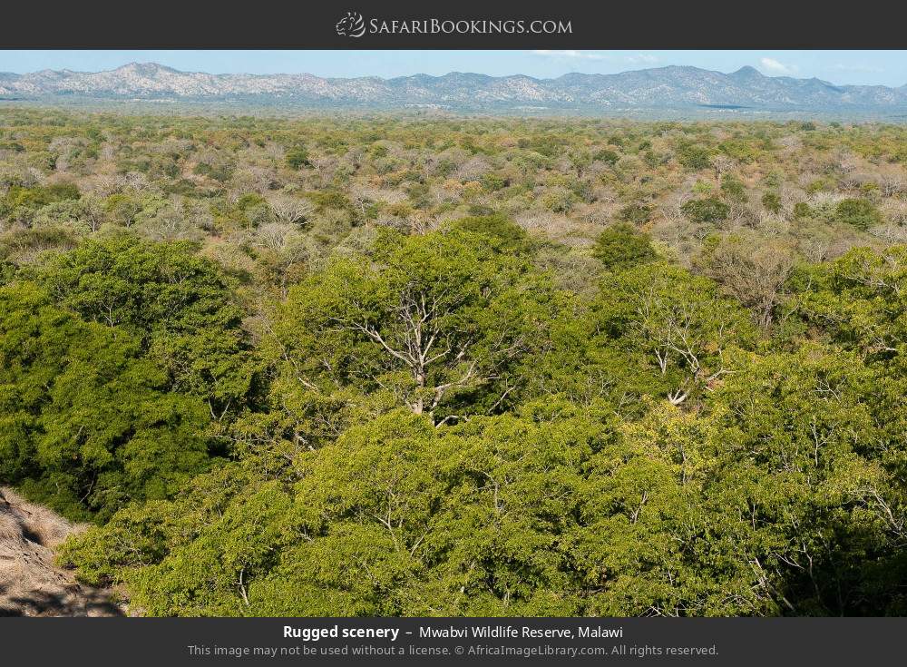Rugged scenery of Mwabvi Wildlife Reserve in Mwabvi Wildlife Reserve, Malawi
