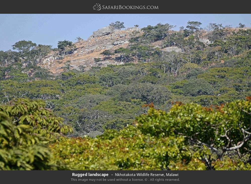 Rugged landscape in Nkhotakota Wildlife Reserve, Malawi