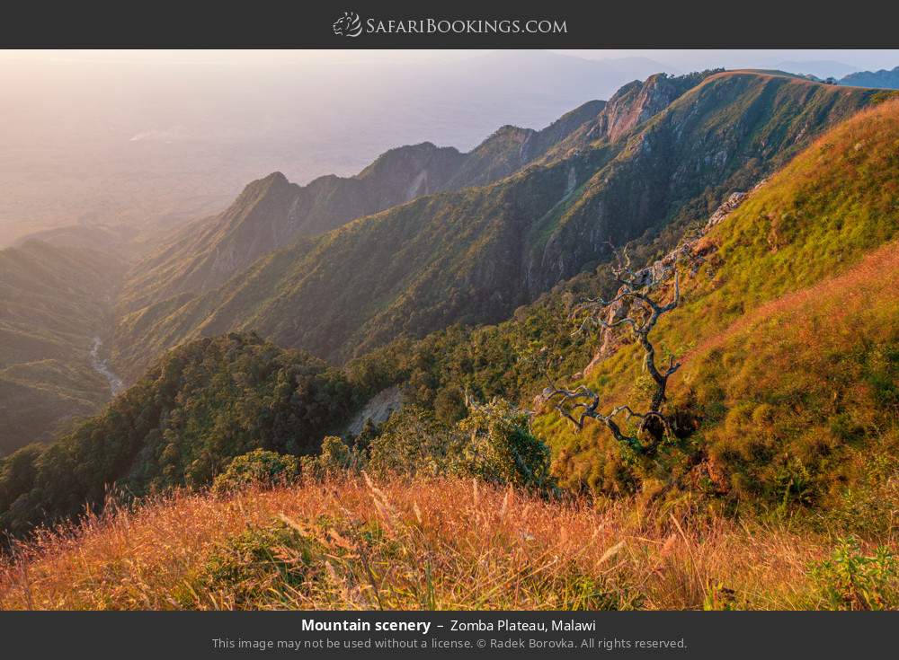 Mountain scenery on Zomba Plateau in Zomba Plateau, Malawi