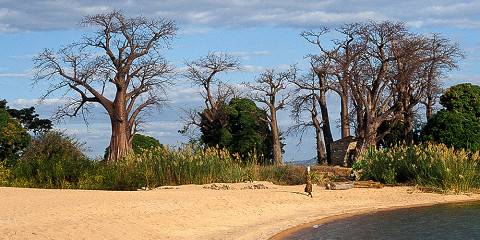 4 Nights in Malawi