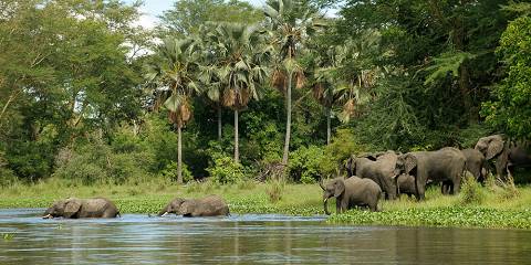 4-Day Liwonde National Park