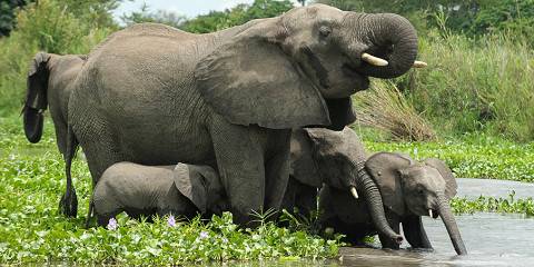 6-Day The Malawi Budget Holiday Escape on a Max