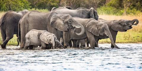 The Wild Heart of Malawi