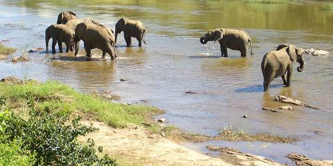 11-Day A Refined Journey Through Malawi